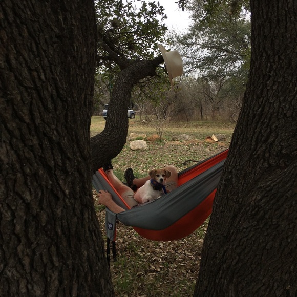 Meet your Posher, Dawn - Picture 5 of 7